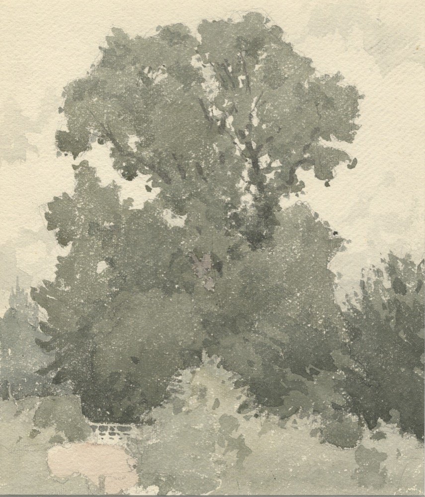Trees & bushes - watercolour